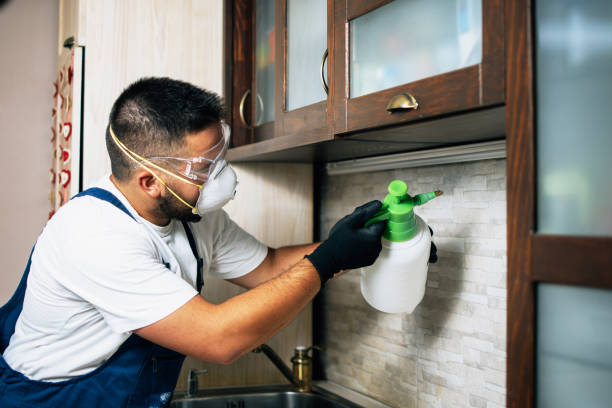 Best Affordable Pest Control Services  in Lamoni, IA
