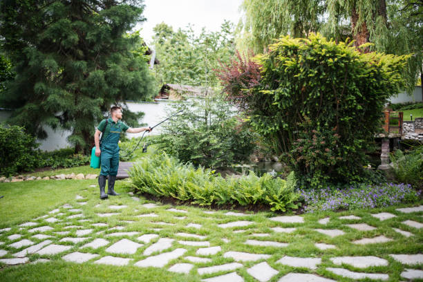 Best Pest Prevention Services  in Lamoni, IA