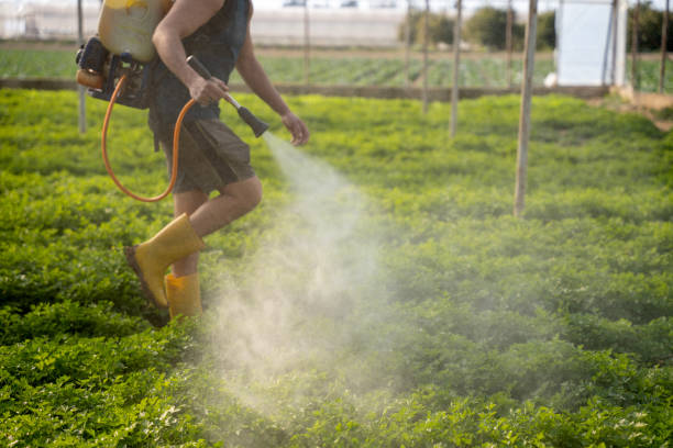 Best Best Pest Control Companies  in Lamoni, IA