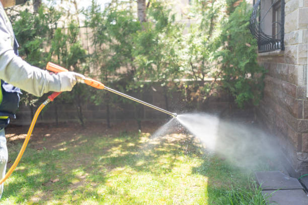 Best Spider Control Near Me  in Lamoni, IA