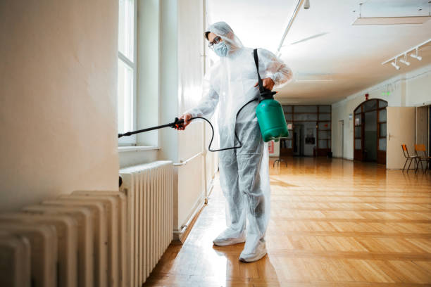 Best Residential Pest Control  in Lamoni, IA