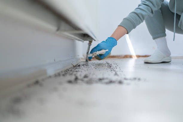Pest Control for Restaurants in Lamoni, IA